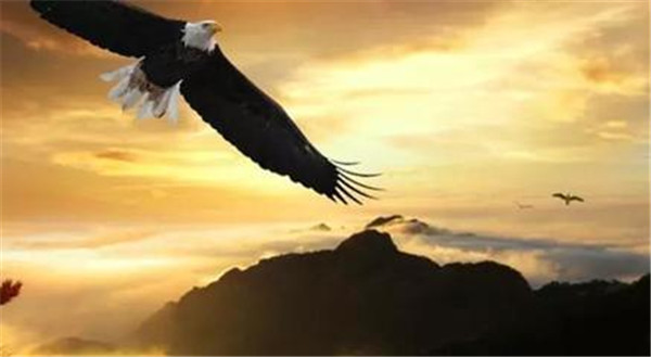 結(jié)合事件進行軟文推廣，成敗取決于誰？